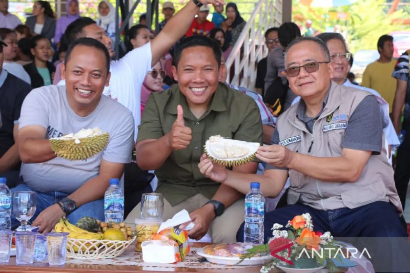 Durian lokal Sukabumi mampu bersaing di tingkat nasional