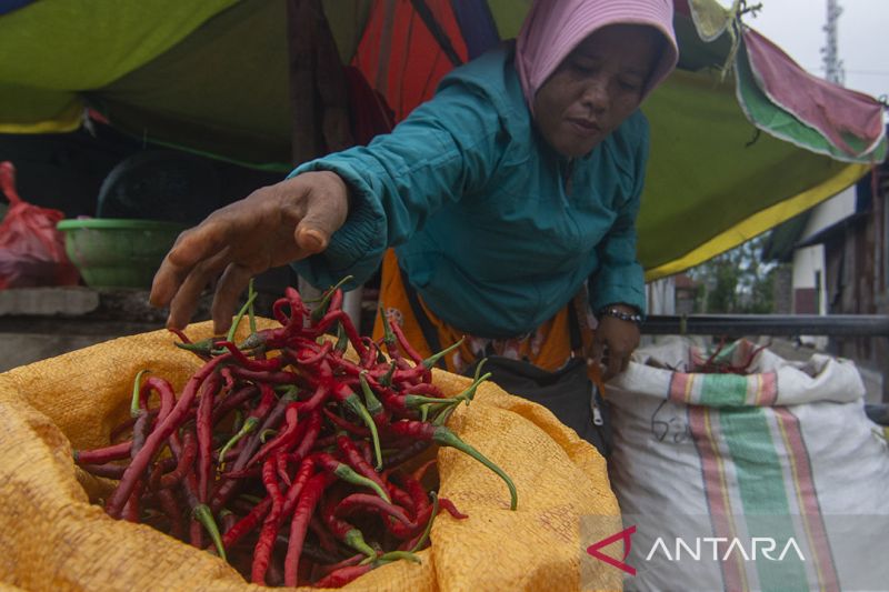 Cuaca Picu Kenaikan Harga Cabai Merah 