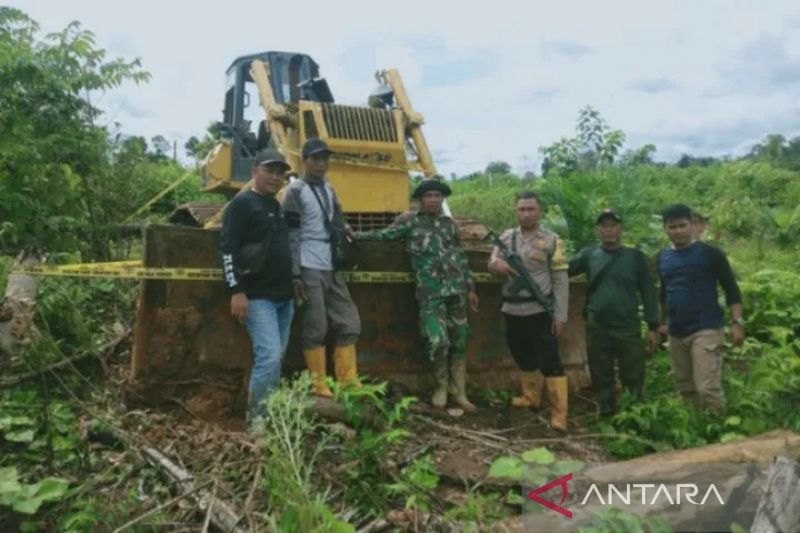 Bengkulu increases patrol to prevent forest encroachment - Vimarsana News