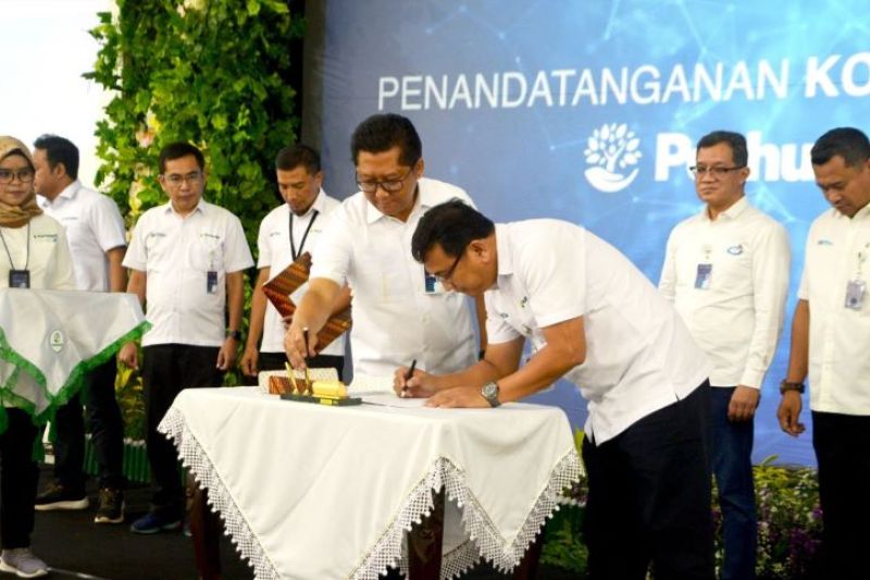 Perhutani to strengthen nature based solutions, biomass businesses - Vimarsana News