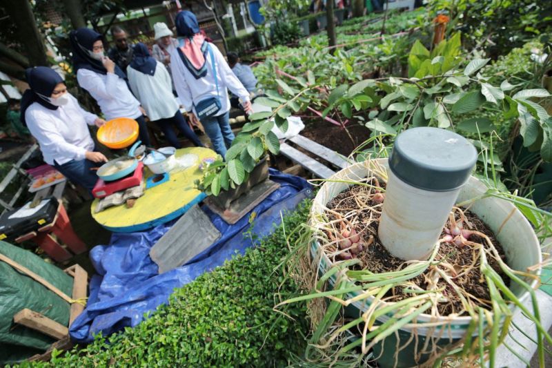 Pemkot Bandung panen 1,5 ton bawang merah dengan metode OTG