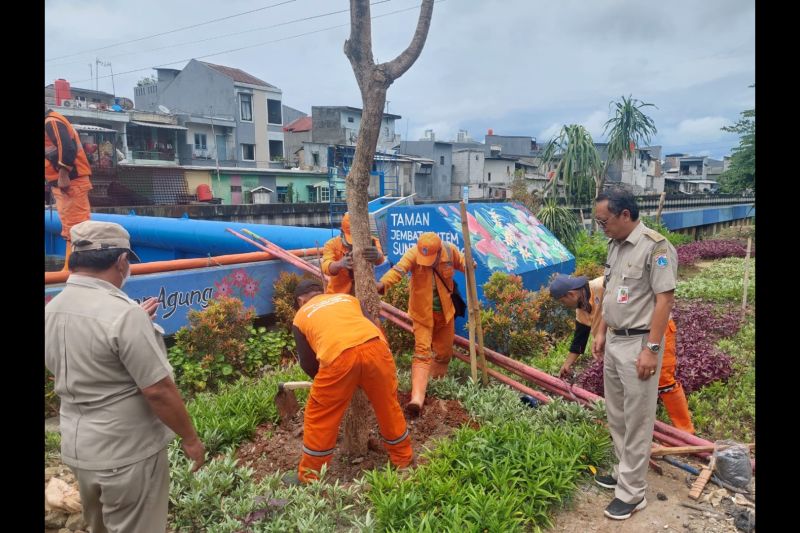 Pemkot Jakut Ajak Masyarakat Aktif Tanam Pohon - ANTARA News