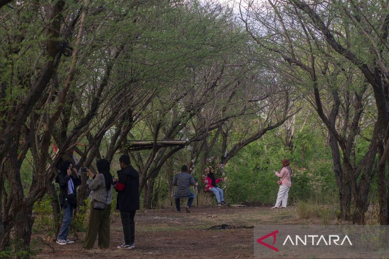 Liburan Imlek di Kawasan Hutan Kota