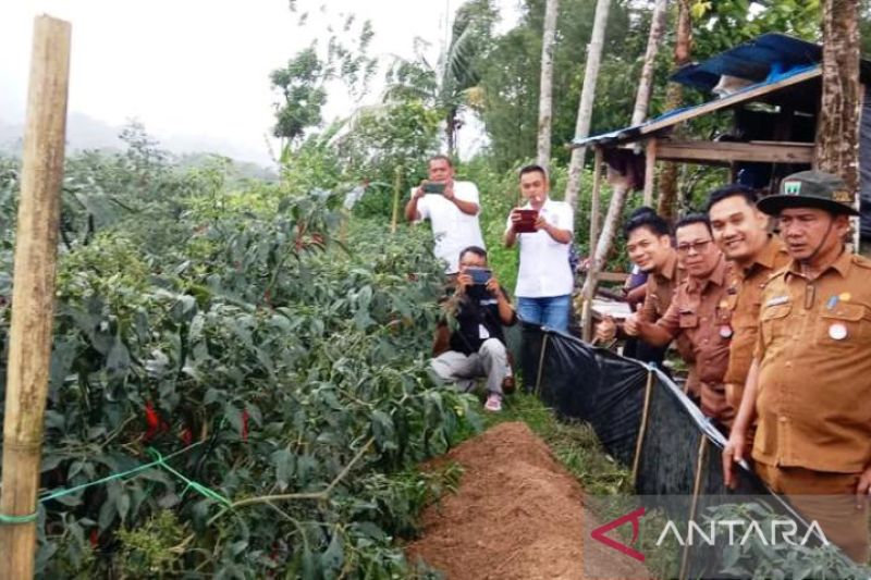 Alokasi Dana Desa Pasaman Barat menurun