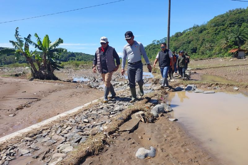 Ratusan hektare sawah terdampak banjir di Garut dapat asuransi dan bantuan benih