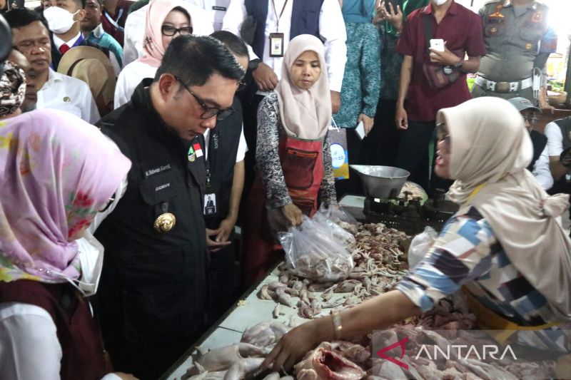 Gubernur Ridwan Kamil minta daerah manfaatkan DTT kendalikan harga kebutuhan