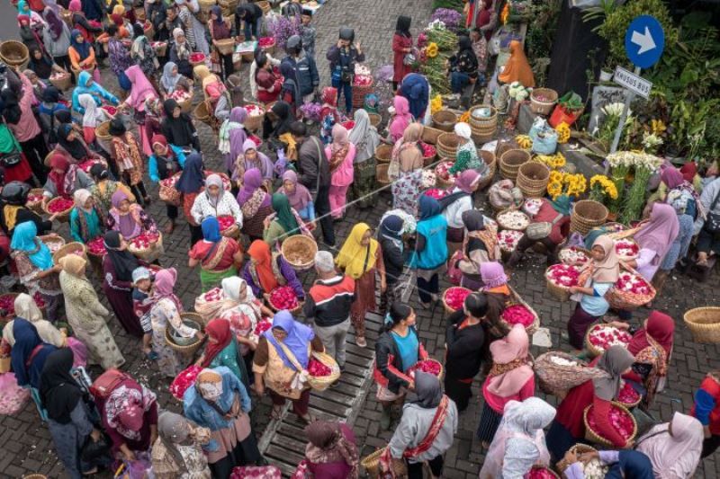 Harga Bunga Mawar Tabur Melonjak