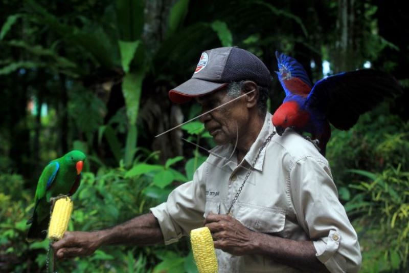 Wisata Taman Burung Biak Di Papua