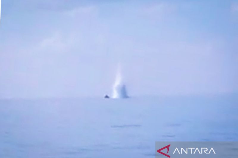 PSDKP ungkap pelaku pengeboman ikan di laut Natuna Kepri