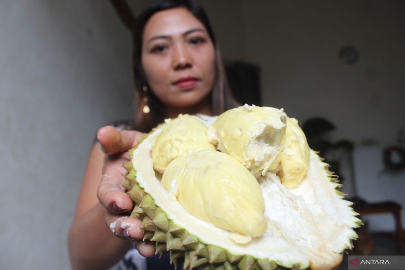 Ahli gizi paparkan soal mitos durian tinggi kolesterol