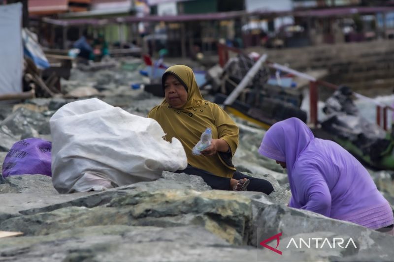 Aksi IRT Pungut Sampah di Pantai Talise Palu 