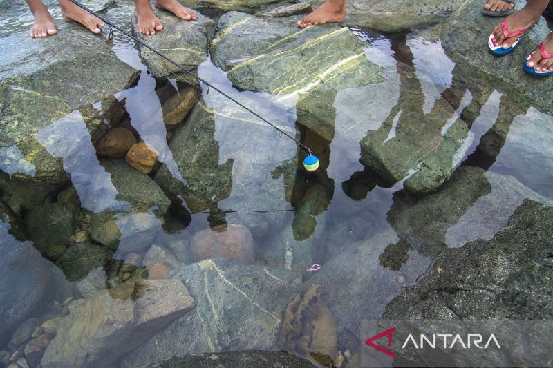 Memancing Belut Laut di Pantai Teluk Palu