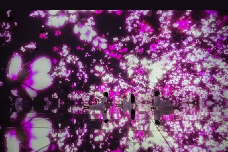 More than half of the visitors to teamLab Planets in Toyosu, Tokyo are from overseas. From March to spring, we will exhibit cherry blossom art works in full bloom all over the space.