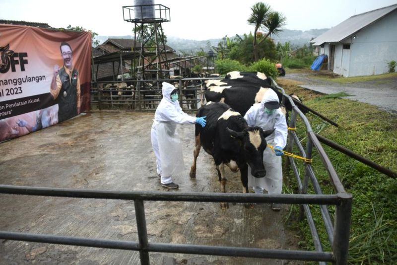 Jawa Barat upayakan percepatan nol kasus PMK pada ternak