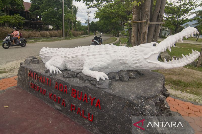 Patung Peringatan Ada Buaya di Teluk Palu