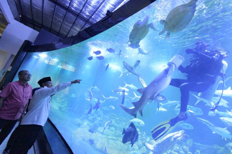 Wagub Jawa Barat ajak warga berlibur ke Aquarium Indonesia di Pangandaran