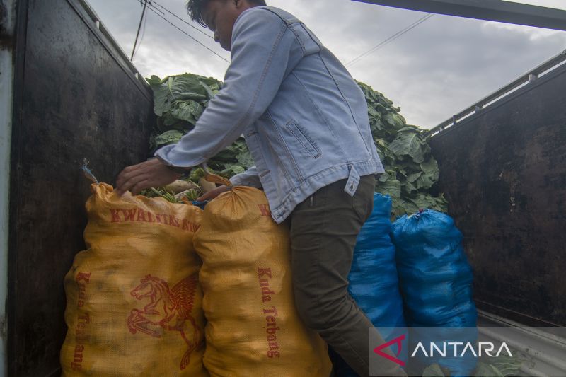 Distribusi Bahan Pangan Terganggu Akibat Cuaca