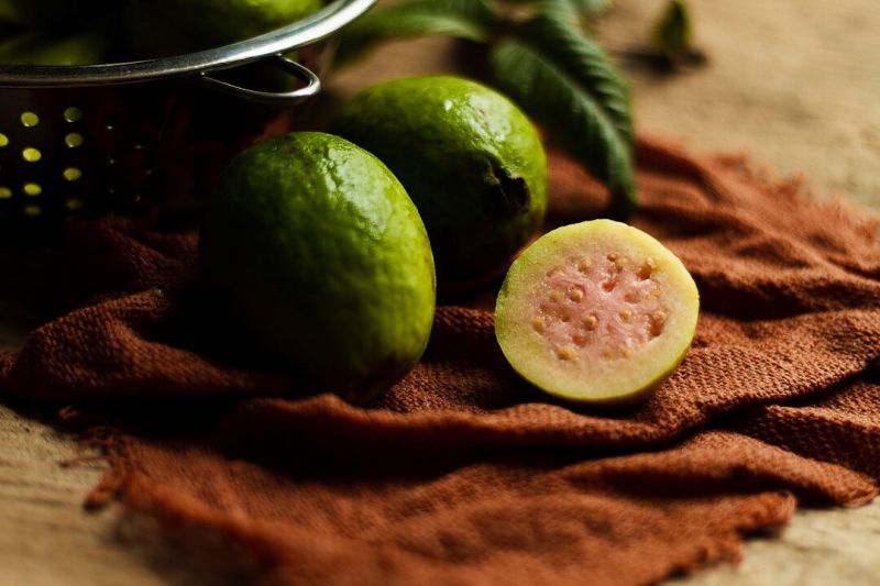 Guava juice can treat dengue fever apparently just a myth