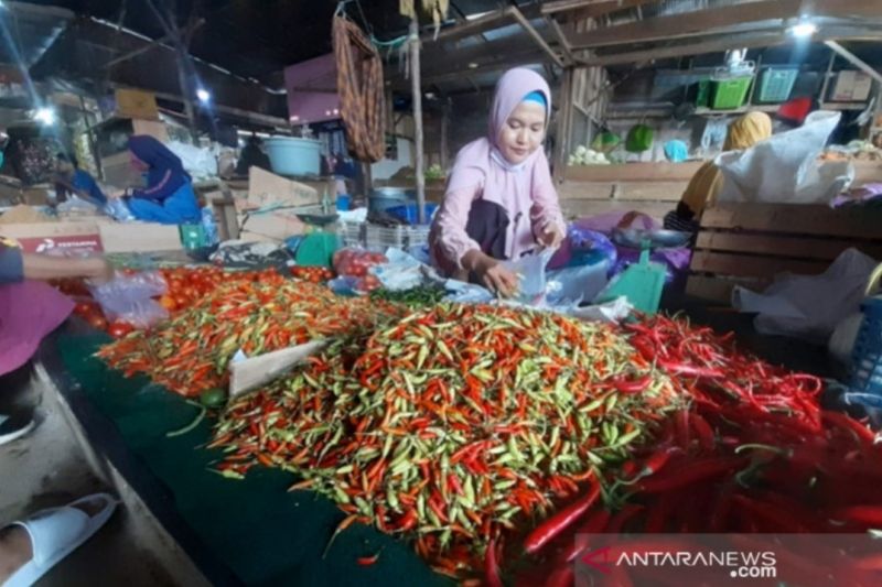 Tanah Bumbu tanam cabai guna cegah inflasi jelang Ramadhan