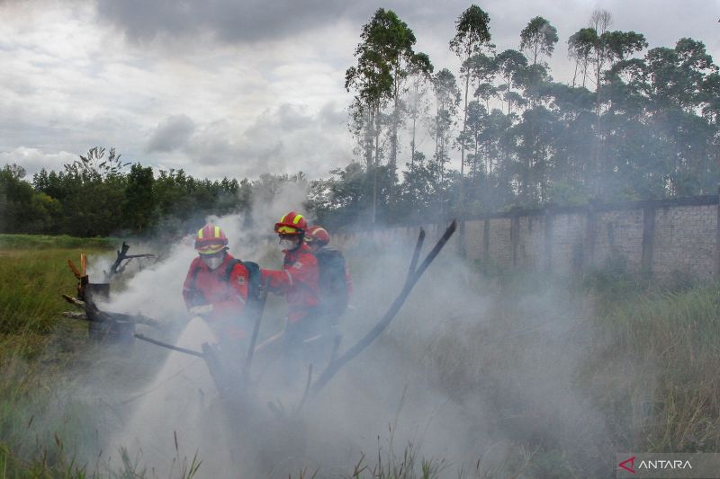 Daerah-daerah di Riau siaga hadapi kebakaran hutan dan lahan