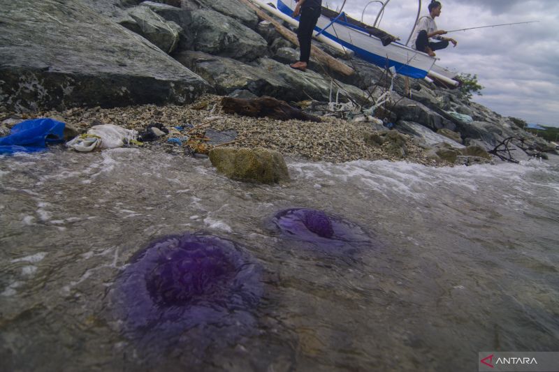 Kamboja akui dampak perubahan iklim kian buruk saja ANTARA News