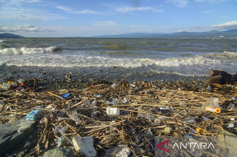 Sampah Kiriman Kotori Pantai Teluk Palu