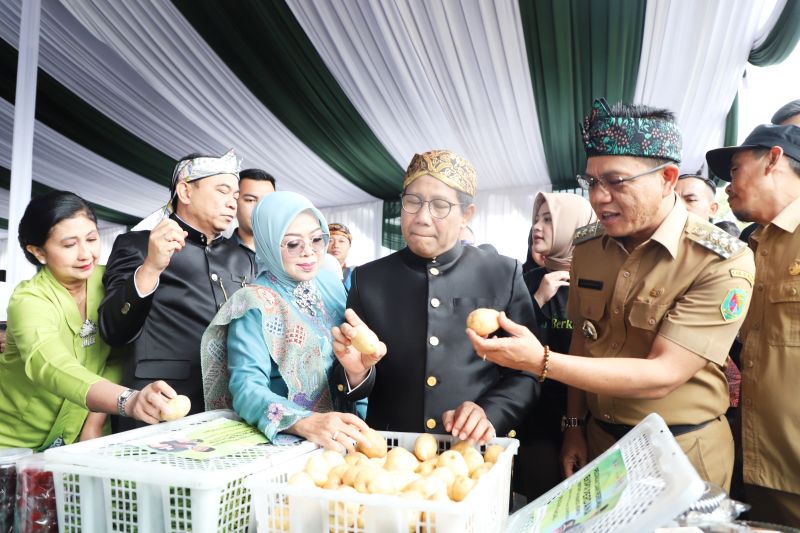 Ekspor kentang jadi momen kebangkitan petani di Kabupaten Bandung