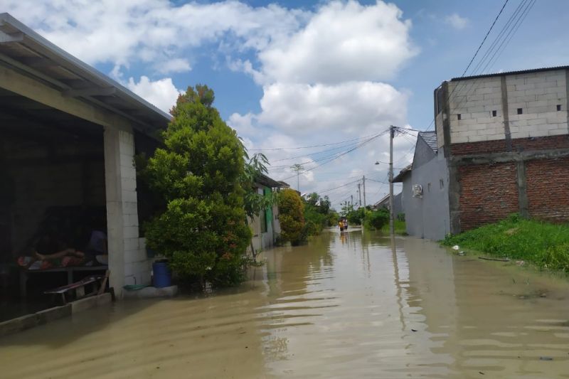 Banjir landa tiga kecamatan di Gresik akibat tanggul jebol