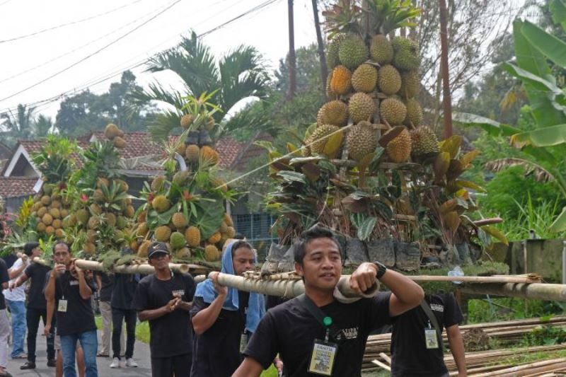 Festival Durian Candimulyo