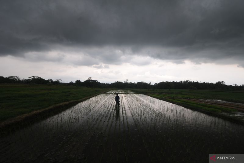 Jabar dan kebanyakan provinsi hadapi potensi hujan lebat disertai angin kencang