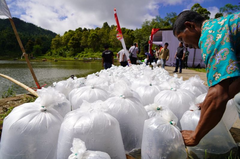 Garut targetkan tebar 1 juta ikan tingkatkan gizi masyarakat