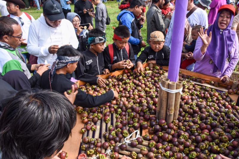 Manggis Wanayasa varian terbaik, sebut Bupati Purwakarta