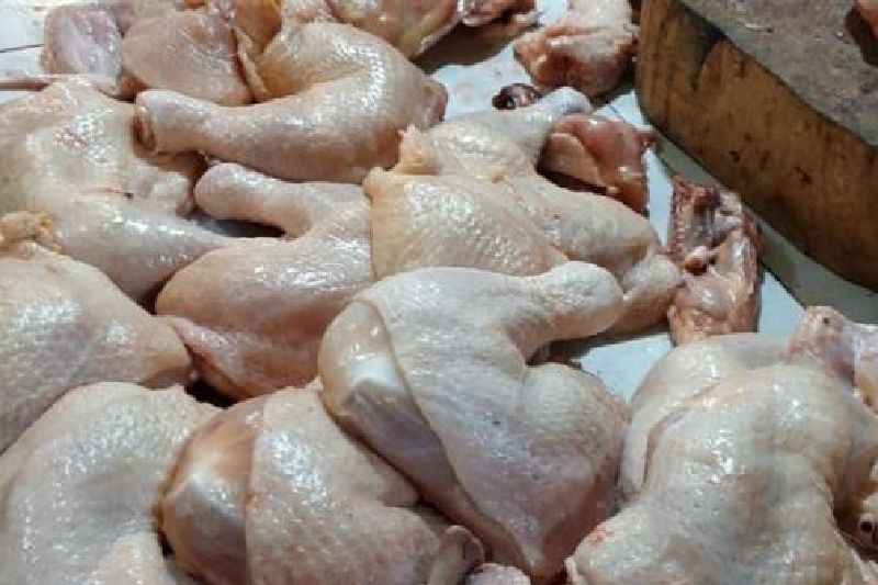 Permintaan meningkat, harga ayam potong naik jelang Ramadan di Pekanbaru