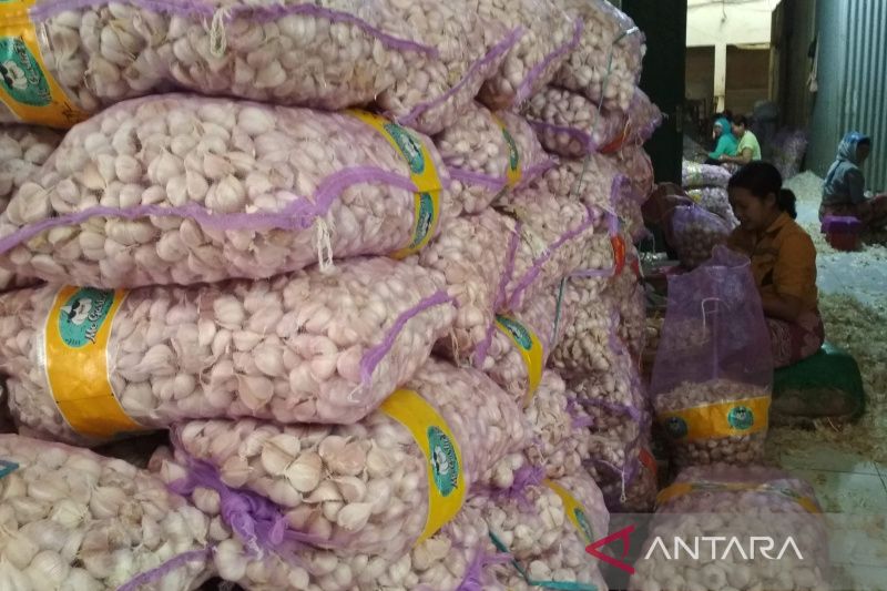 Sepekan, impor bawang putih sampai kerja sama Indonesia-China