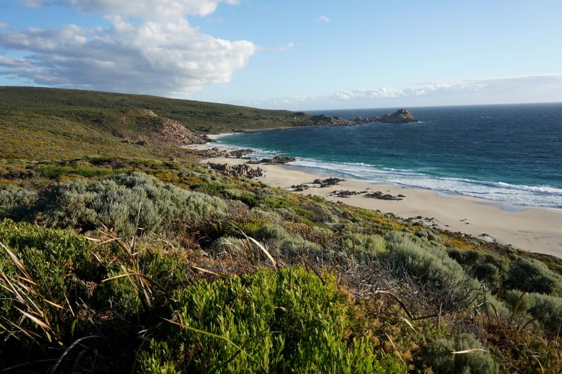 Lima destinasi liburan di Australia Barat untuk pelancong pemula