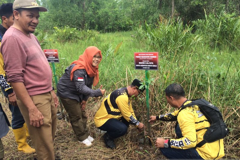 SBI bersama Pj Bupati Batola tanam 1.000 pohon mangrove rambai di Hari Bekantan
