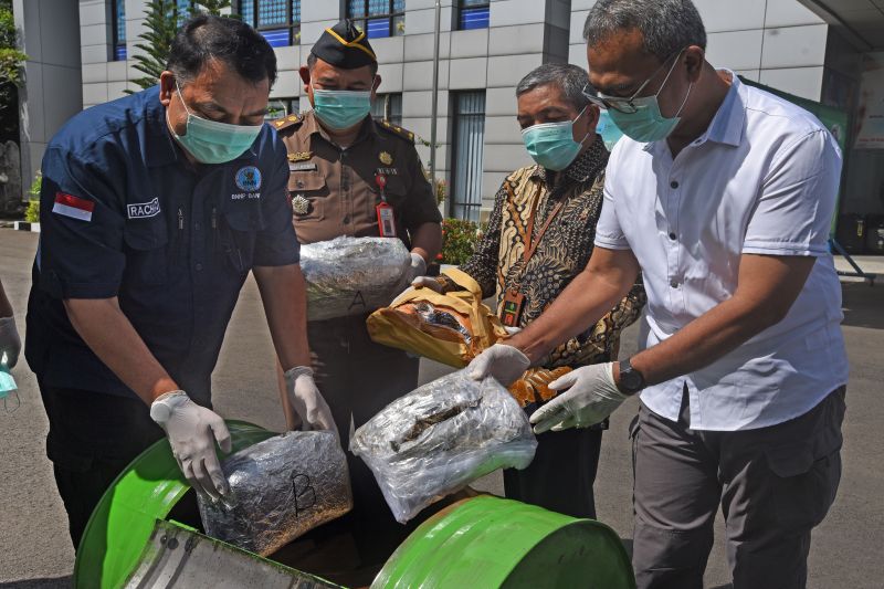 BNN Banten Musnahkan Barang Bukti Ganja 5.3 Kilogram - ANTARA News