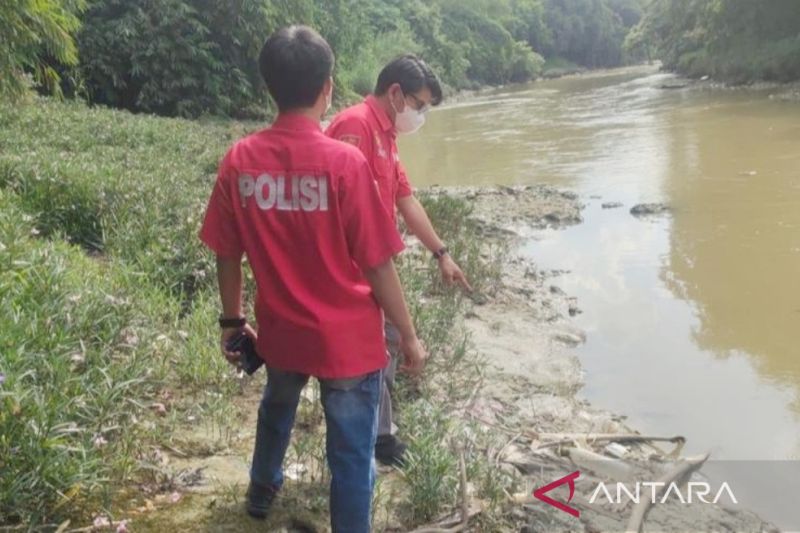Polisi menyelidiki penyebab ribuan ikan mati di Sungai Cileungsi Bogor