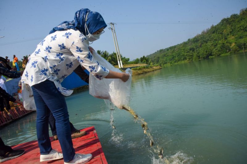 Purwakarta dorong peningkatan produksi ikan air tawar penuhi permintaa pasar