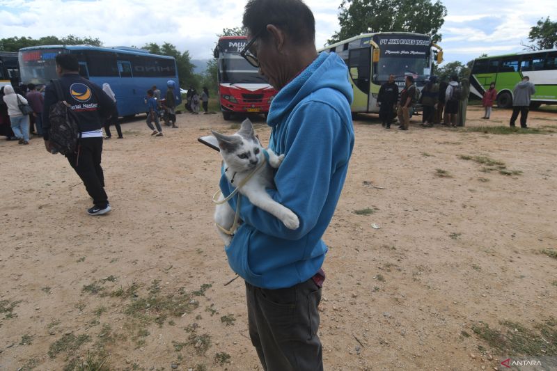 MUDIK GRATIS NASDEM SULTENG