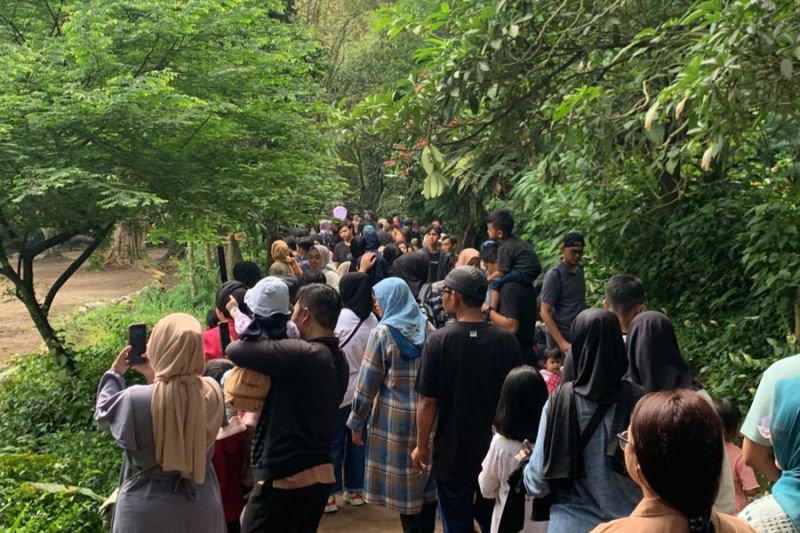 H+2 Lebaran kunjungan ke Kebun Binatang Bandung capai ribuan