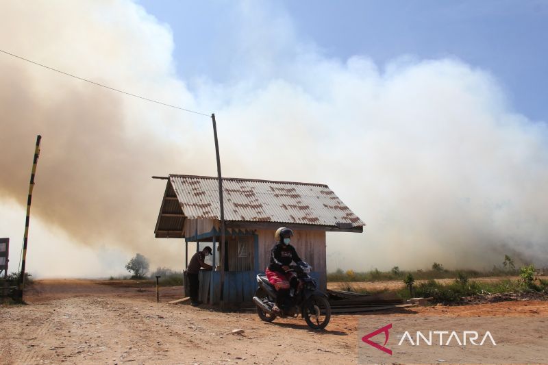 FOTO PILIHAN - Karhutla di Dumai meluas