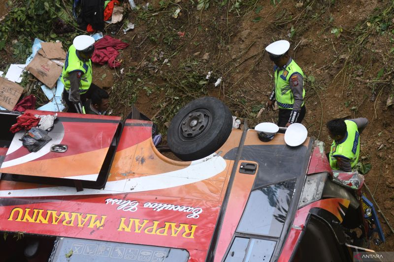 Olah TKP kecelakaan bus kebun kopi