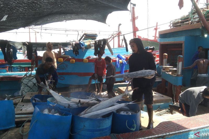 Atli Bali Catat Konsumsi Bbm Kapal Ikan Tuna Capai 200 Liter Per Hari