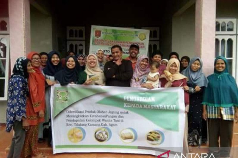 Diversifikasi produk olahan jagung untuk meningkatkan pendapatan petani jagung