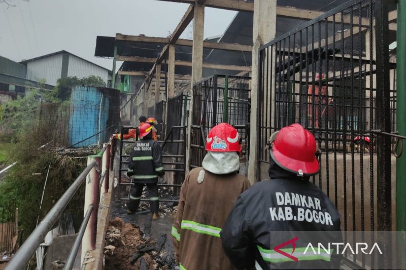 Damkar gabungan tangani kebakaran di Bogor