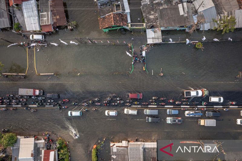 Banjir Rob Merendam Jalur Pantura Demak KM 10 - ANTARA News