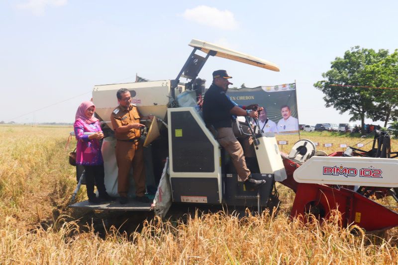 Pemkab Cirebon minta bantuan pusat atasi lahan pertanian terkena banjir