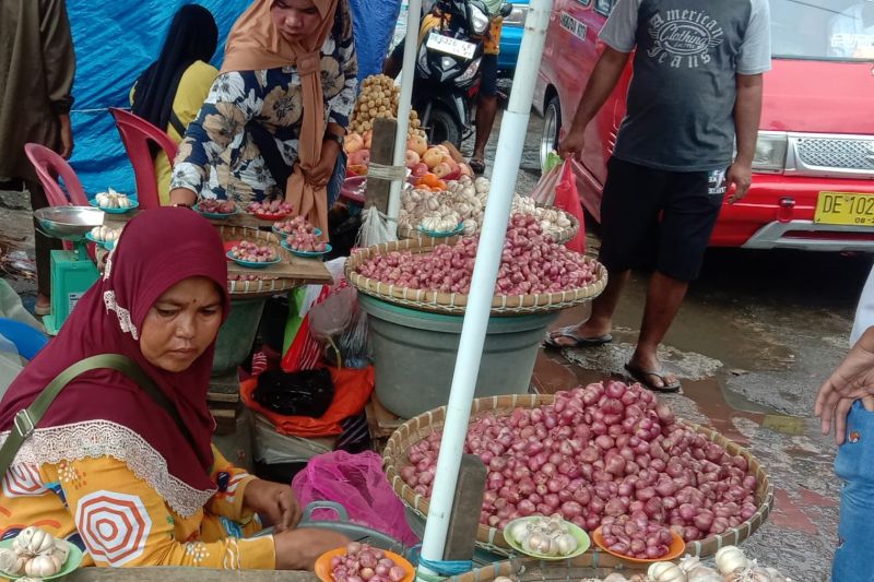 Harga Bawang Di Ambon Naik Hingga Rp60 000 Per Kilogram ANTARA News Ambon Maluku