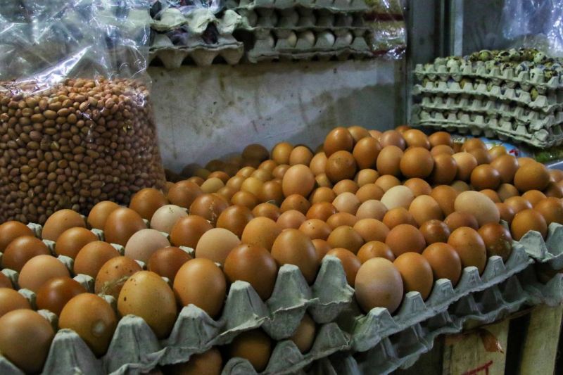 Pemkot Bandung: Harga telur di Bandung berangsur normal